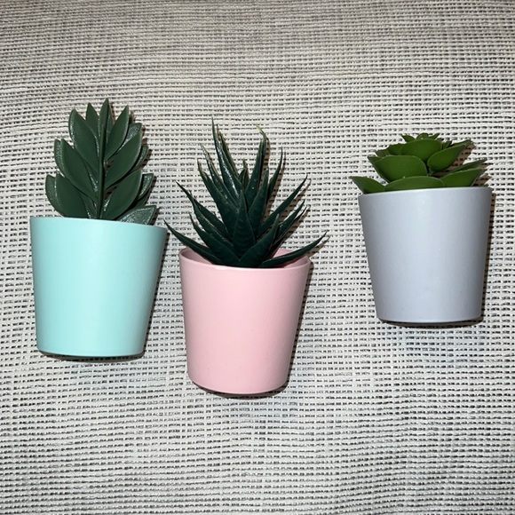 Other - Set of artificial succulents